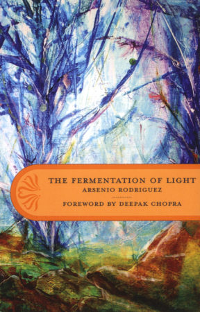 The Fermentation of Light