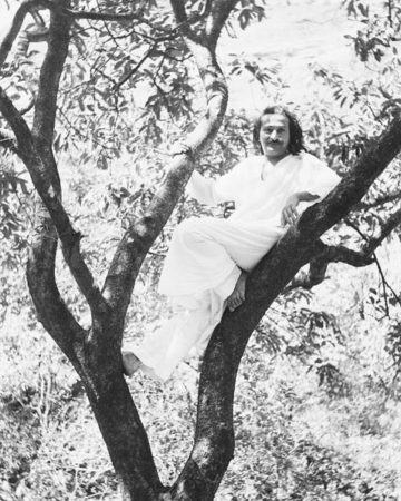 Baba on a Picnic
