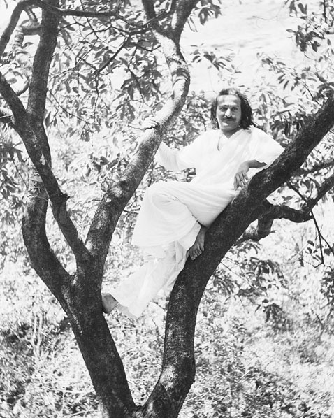 Baba on a Picnic